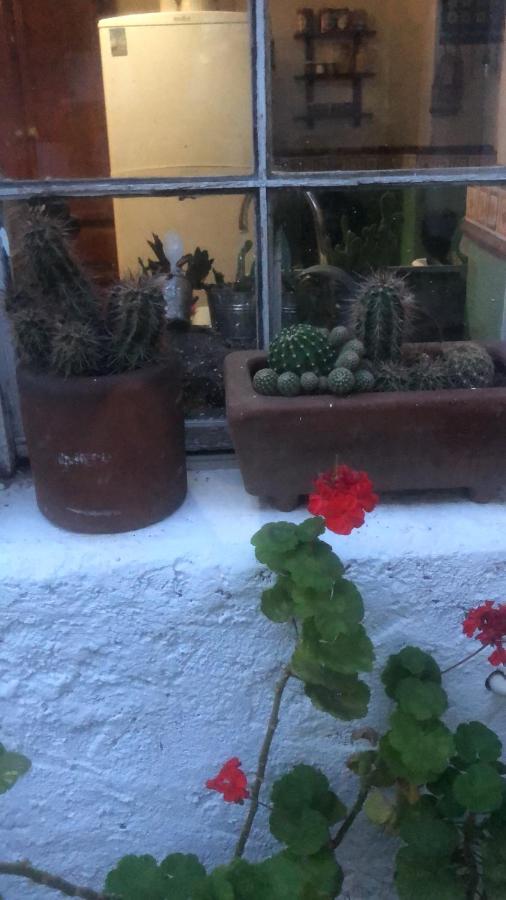Home Stay Maria هيدالجو ديل بارال المظهر الخارجي الصورة